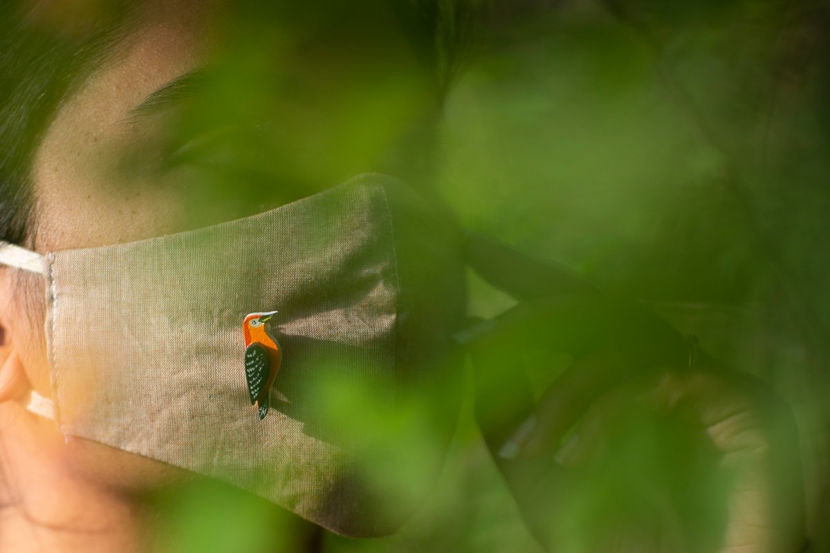 Woody bird series- Red-bellied woodpecker
