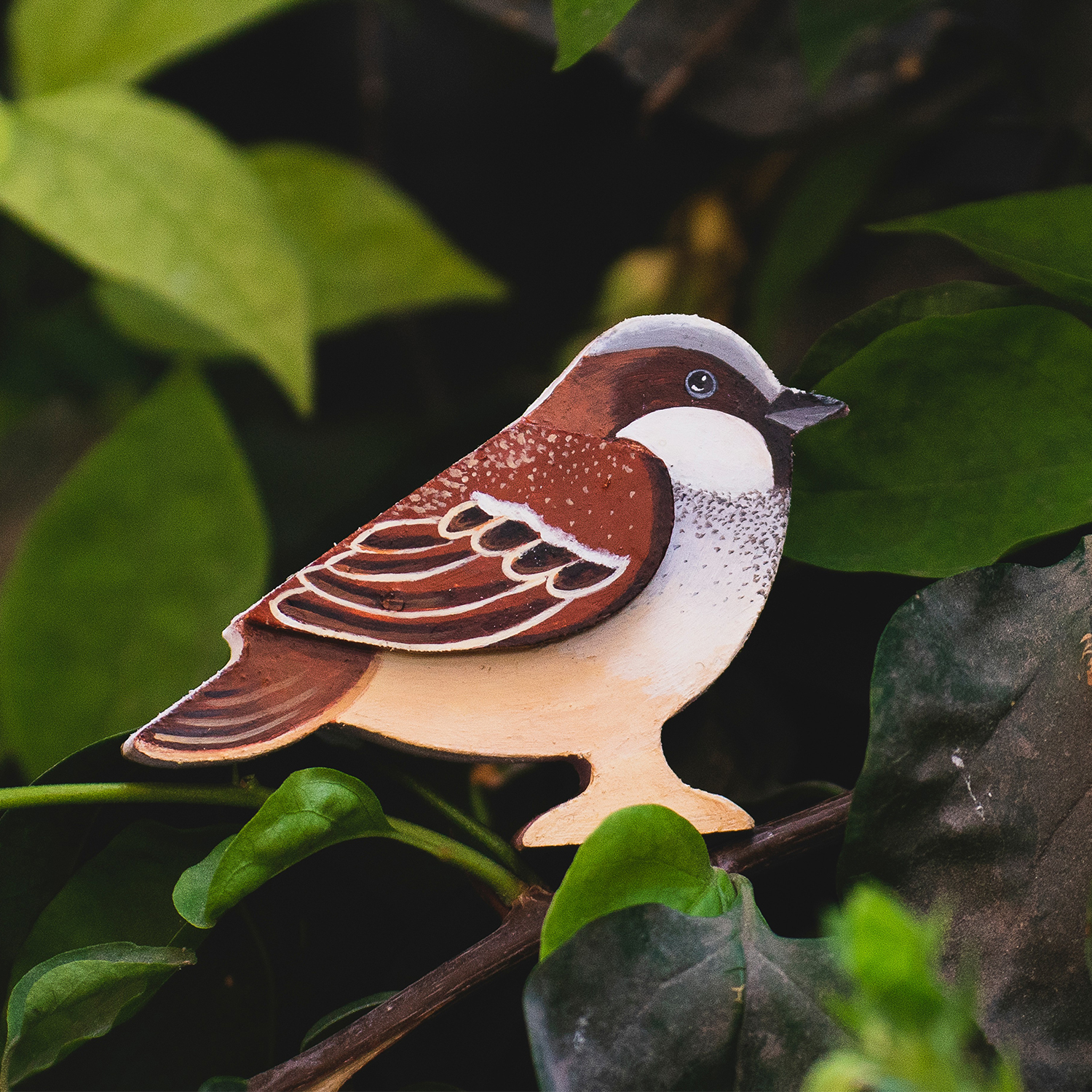 House Sparrow - Wildlife art work- Woody bird - Wildstep India - Nature store