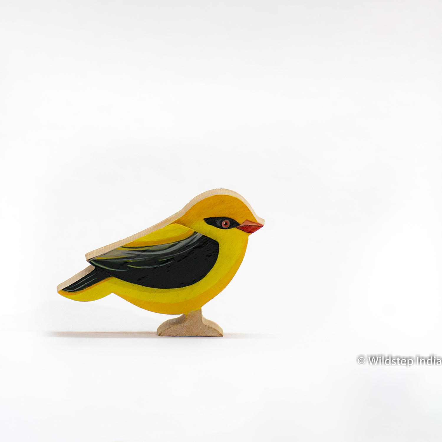 Indian Golden Oriole - Wildlife bird - Woody bird - Wildstep India - Nature Store