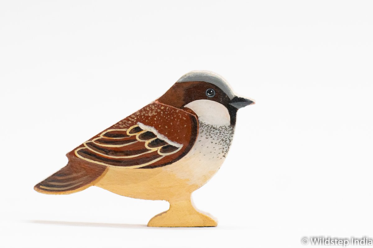 House Sparrow - Wildlife art work- Woody bird - Wildstep India - Nature store