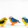 Indian Golden Oriole - Wildlife bird - Woody bird - Wildstep India - Nature Store