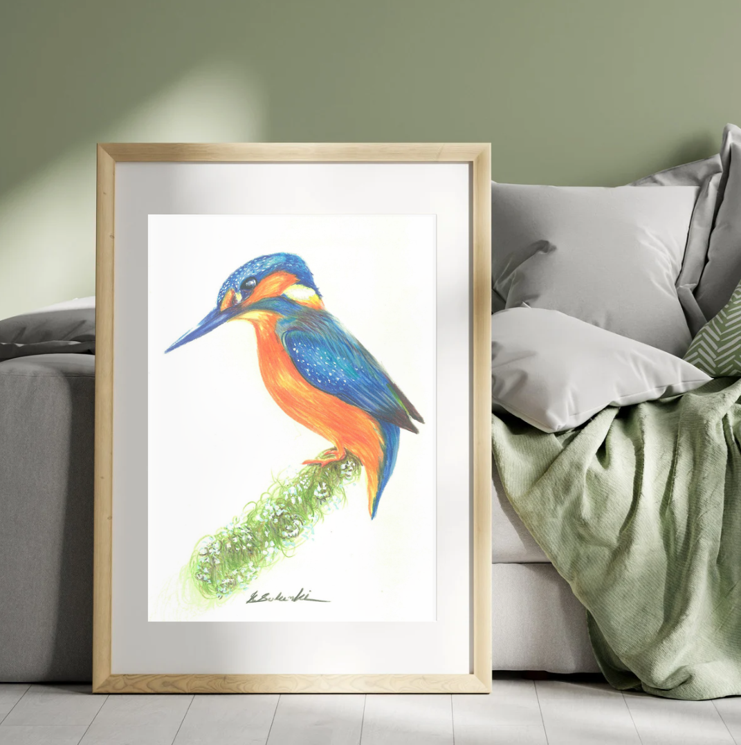 Common Kigfisher - drawing - painting - art work - wildlife and nature -