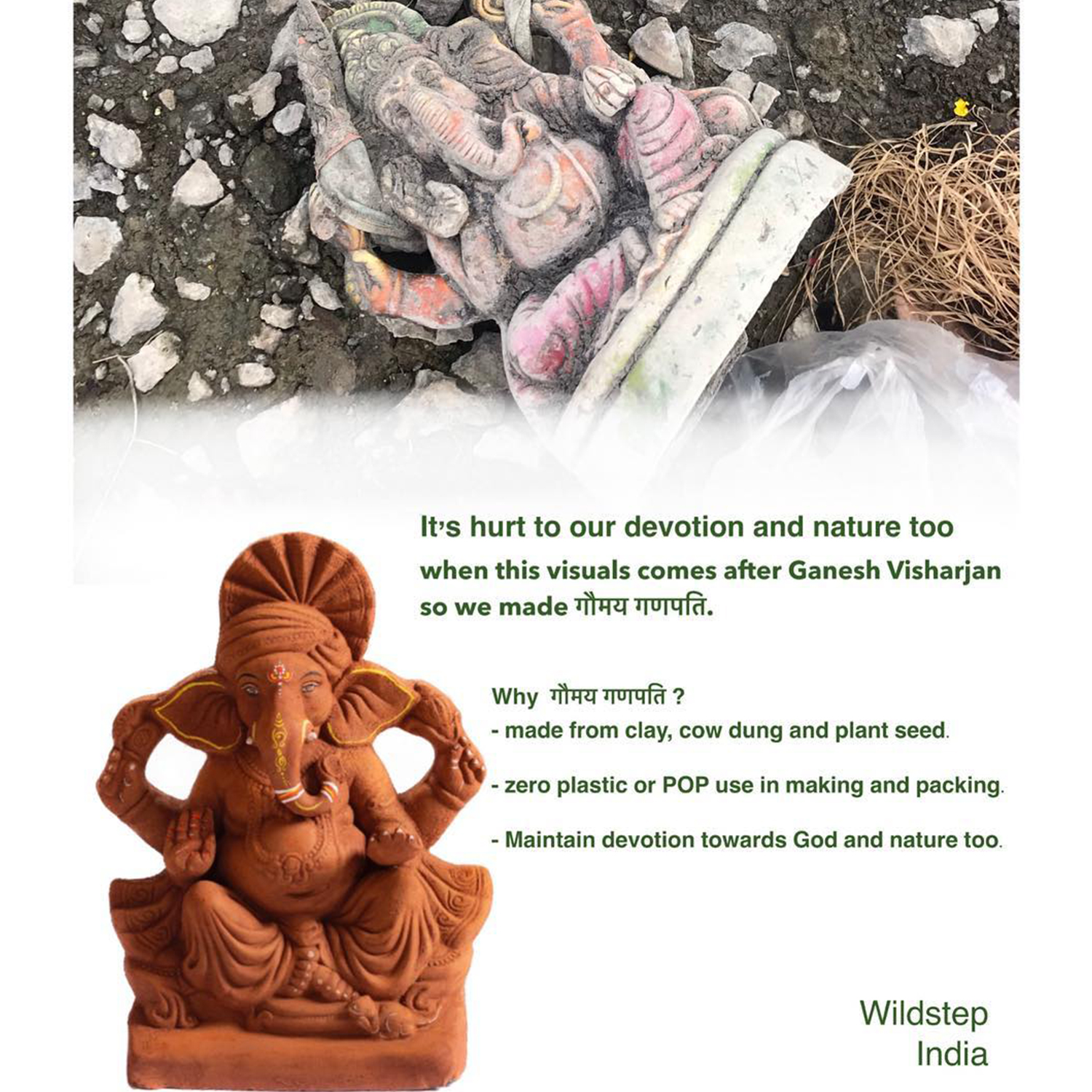 Gaumay Ganati - eco-friendly Ganpati idol - Nature - wildlife conservation - Wildstep India - Nature store