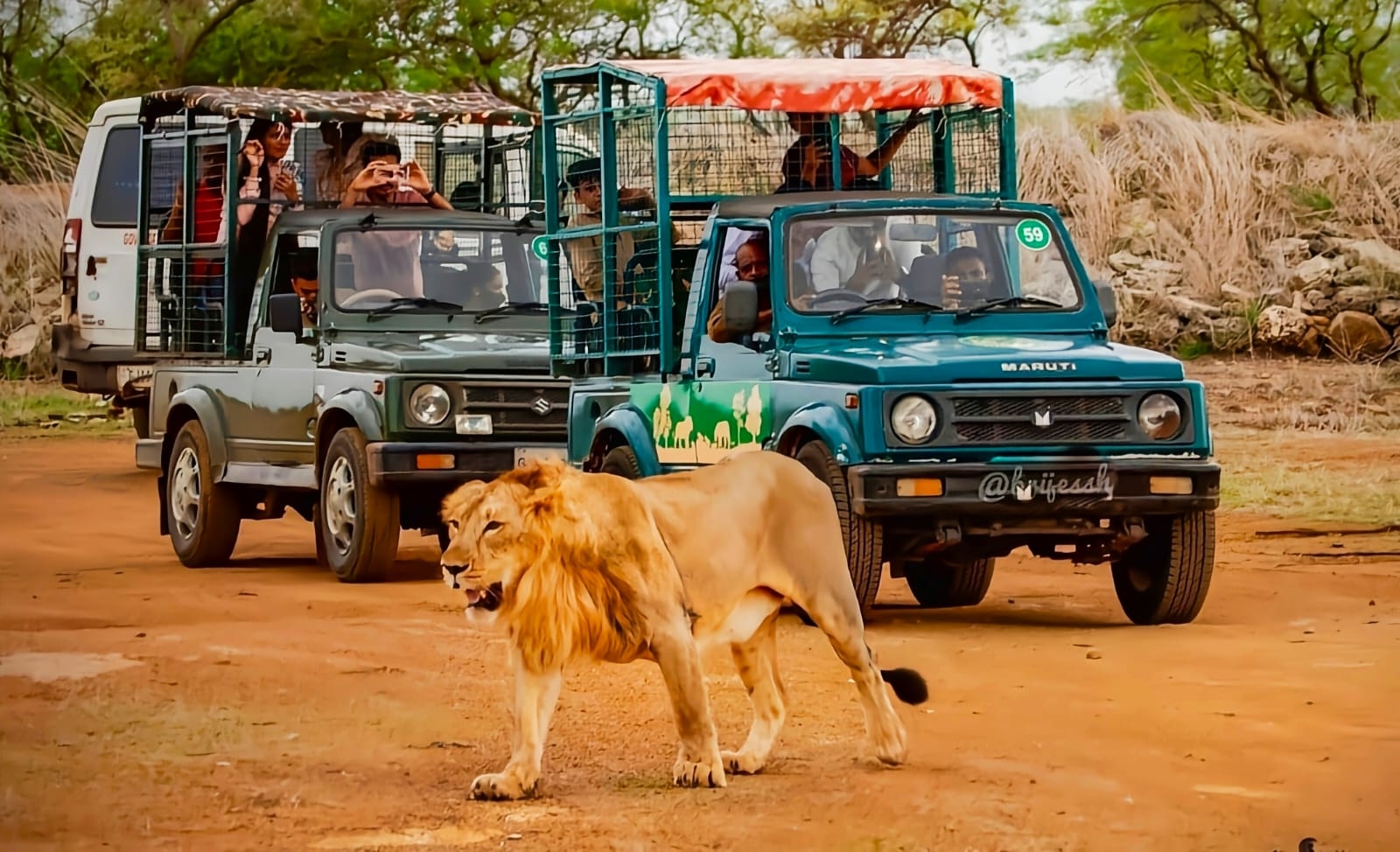 devaliya safari park - Wildlife - safari - wildstep India - Nature - booking - Gir - Sasan Gir with wildstep India- Jaidevsinh Rathod