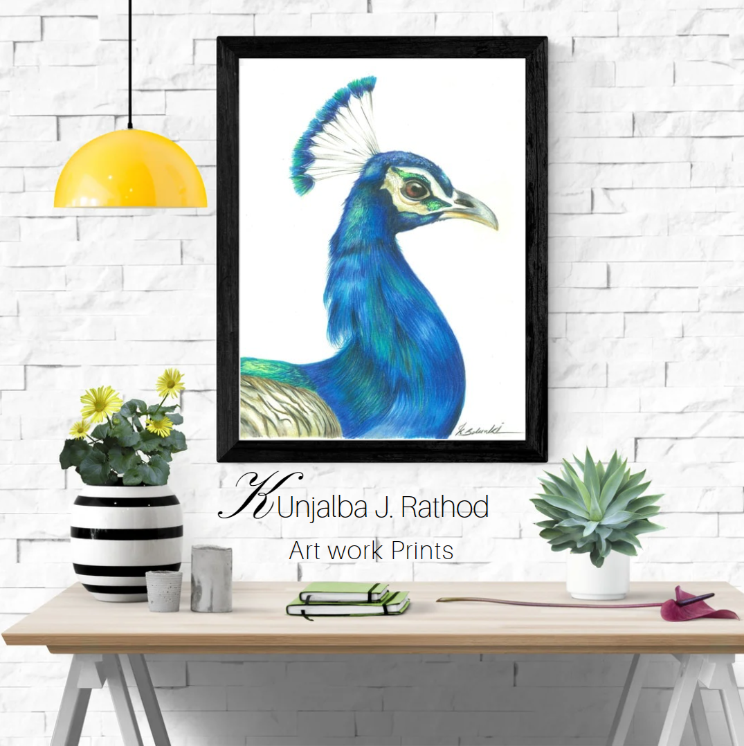 Indian Peacock - wildlife and nature art / drawing / painting - Wildstep India - Nature store