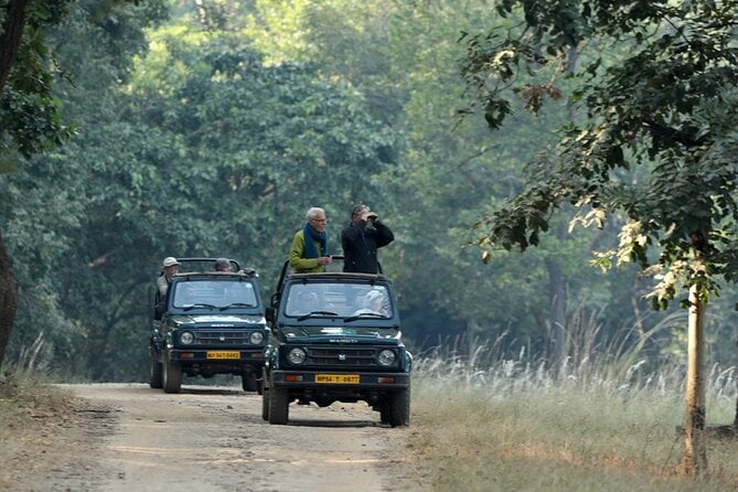 Tadoba tiger reserve and tiger safari with wildstep india tadoba pench kanha ranthombore