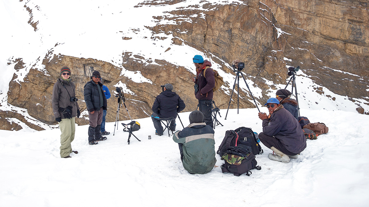 Snow-Leopard-in-Spiti-Valley_wildstep_india_trip_himalayan_wildlife_ibex_red_fox_kibber_WIldstep_India