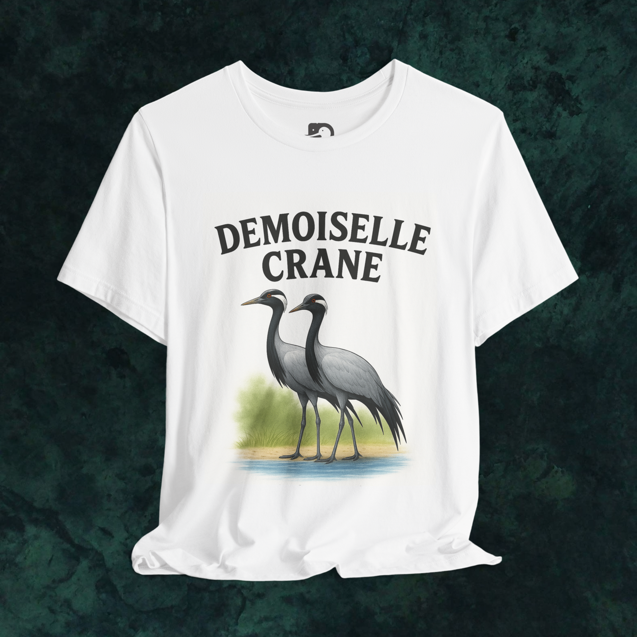 Demoiselle Crane - wildstep India - Demoiselle crane - rajasthan - count 2025 - event - Birding - photography - bird conservation program - Wildstep India