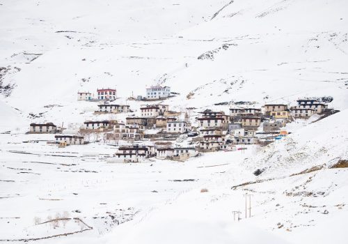 Snow-Leopard-in-Spiti-Valley_wildstep_india_trip_himalayan_wildlife_ibex_red_fox_kibber