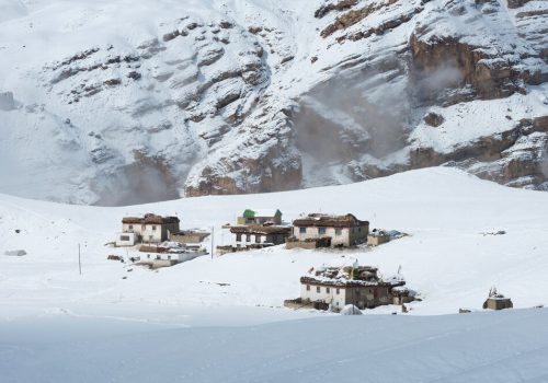 Snow-Leopard-in-Spiti-Valley_wildstep_india_trip_himalayan_wildlife_ibex_red_fox_kibber1